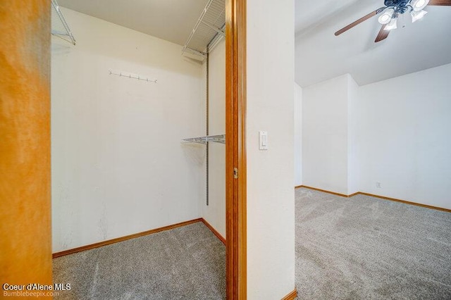 spacious closet with ceiling fan and carpet flooring