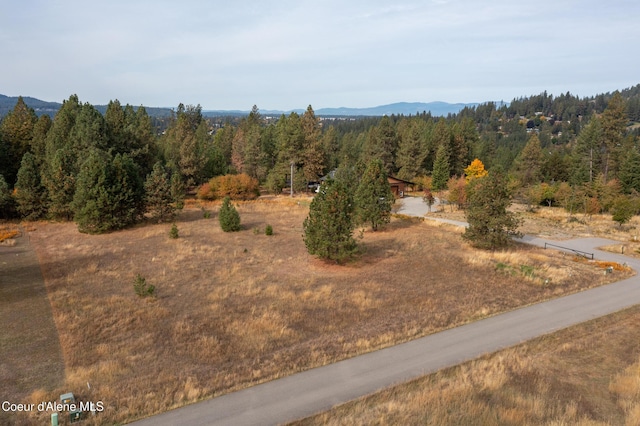 bird's eye view featuring a mountain view