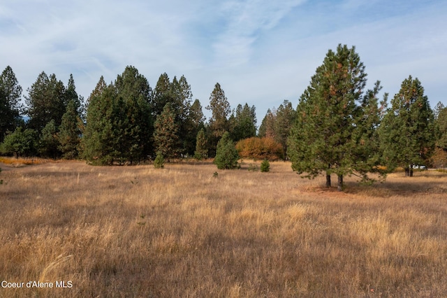 view of landscape featuring a rural view