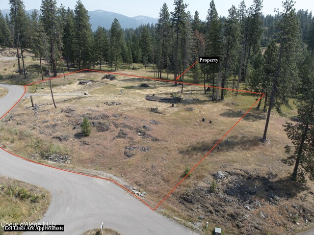 NNA Alyssa Court, Hope, ID 83836 - photo 18
