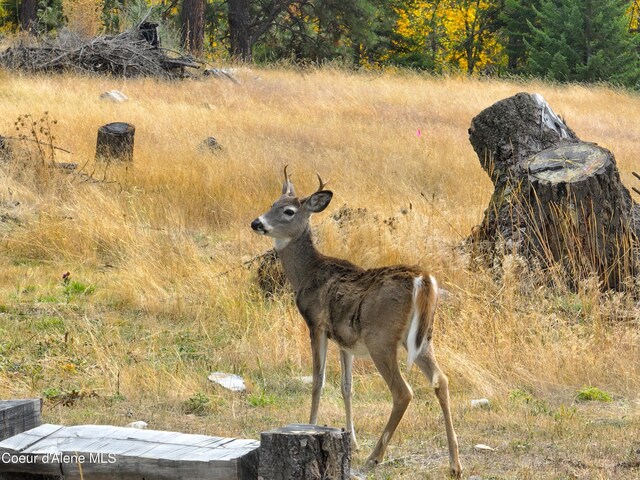 NNA Alyssa Court, Hope, ID 83836 - photo 19