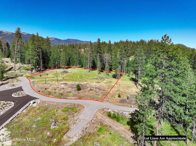 NNA Alyssa Court, Hope, ID 83836 - photo 6