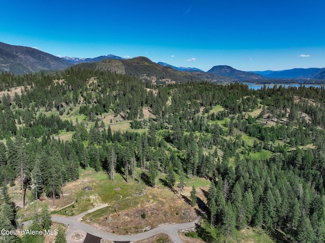 NNA Alyssa Court, Hope, ID 83836 - photo 10