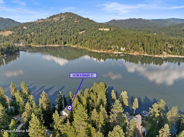 birds eye view of property with a water and mountain view