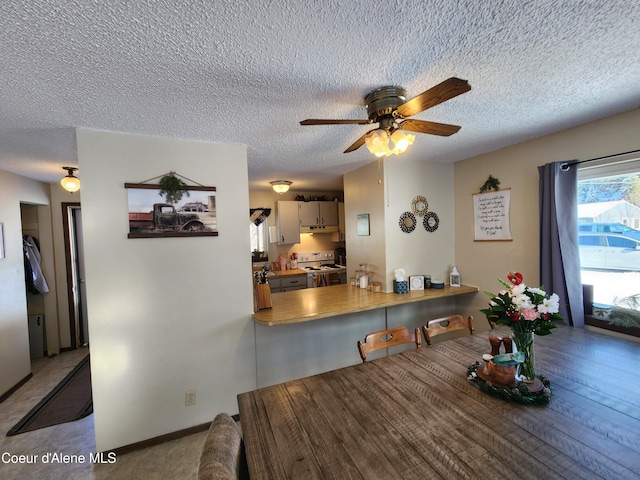 dining space featuring ceiling fan and a textured ceiling