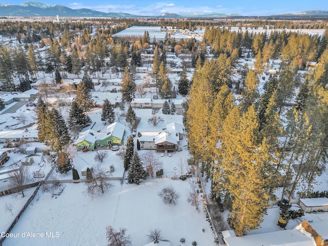 snowy aerial view featuring a mountain view