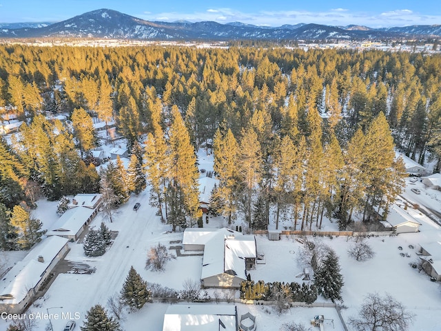 snowy aerial view featuring a mountain view