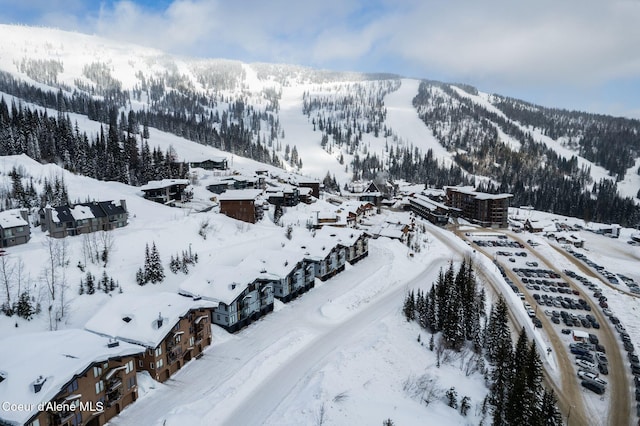 snowy aerial view featuring a mountain view