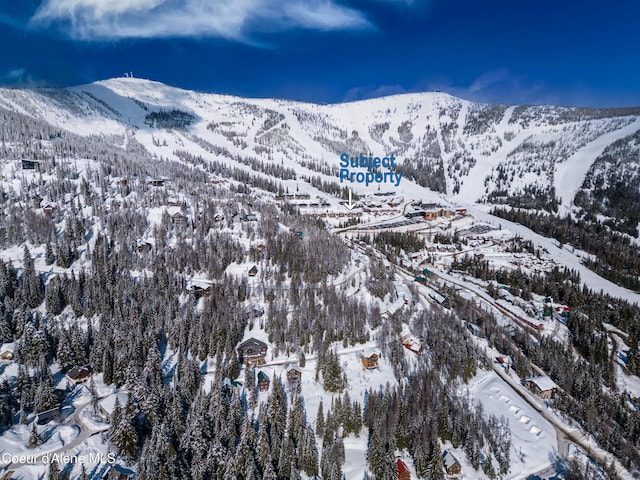 125 Crystal Springs Rd Unit 202, Sandpoint, ID 83864 - view of mountain backdrop