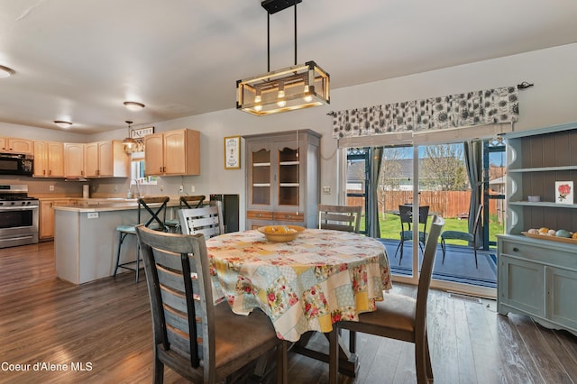 dining space with sink and dark wood-type flooring