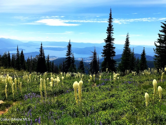 mountain view