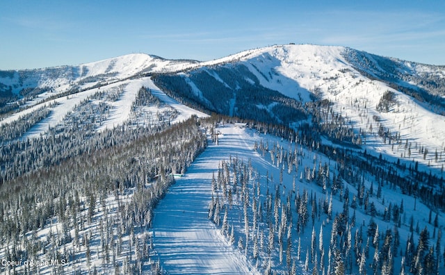 view of mountain feature