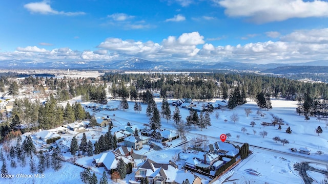 snowy aerial view featuring a mountain view