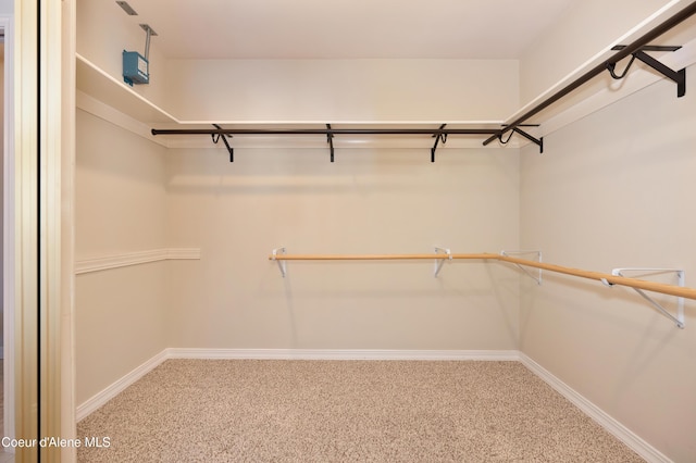 walk in closet with carpet floors