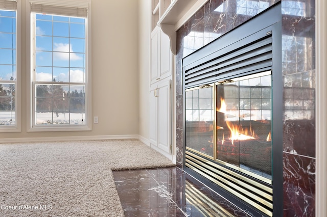 details with a multi sided fireplace and carpet flooring