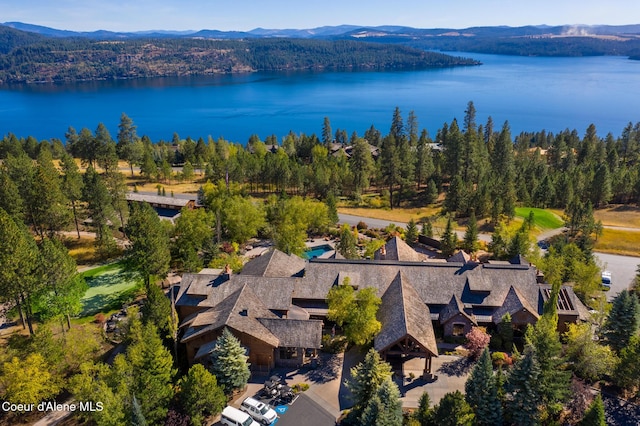 drone / aerial view with a water and mountain view