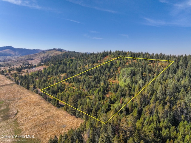 NNA Lowry, Plummer ID, 83851 land for sale