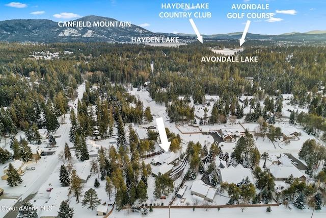 snowy aerial view featuring a mountain view