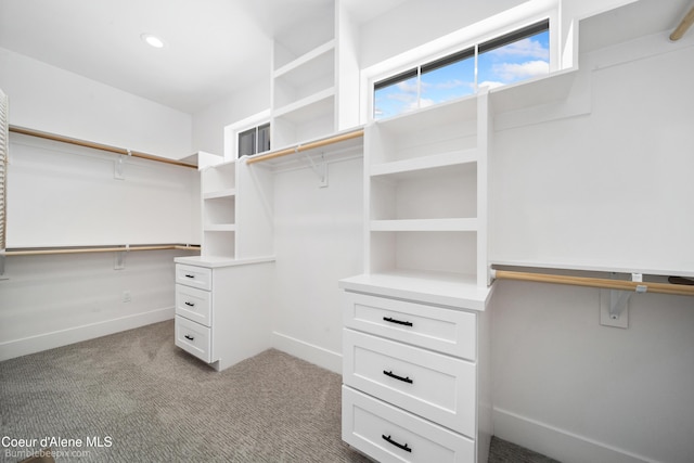 walk in closet with light colored carpet and built in desk