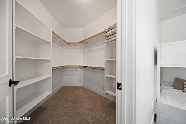 walk in closet with carpet