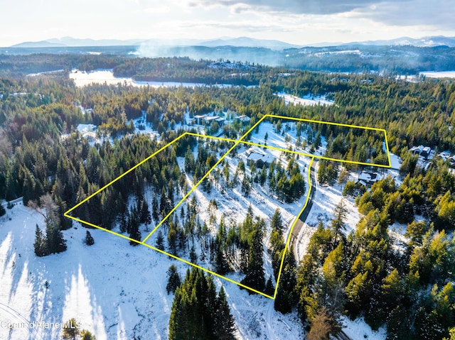 snowy aerial view with a mountain view