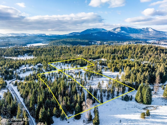 snowy aerial view featuring a mountain view