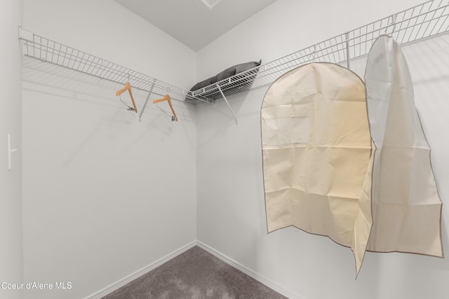 1497 N Luna St, Post Falls, ID 83854 - walk in closet featuring carpet flooring