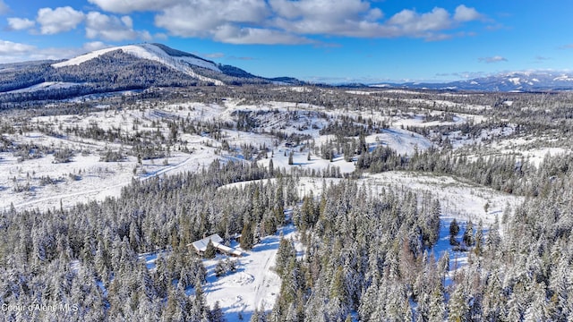 snowy aerial view featuring a mountain view