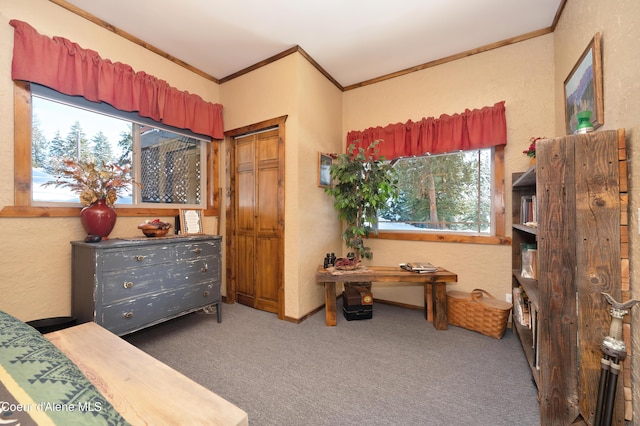 carpeted bedroom with crown molding