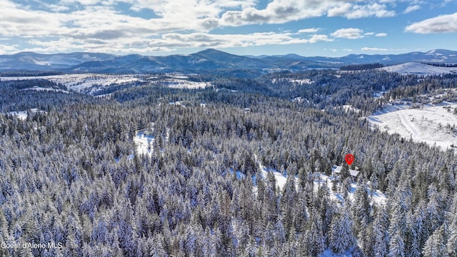 snowy aerial view with a mountain view