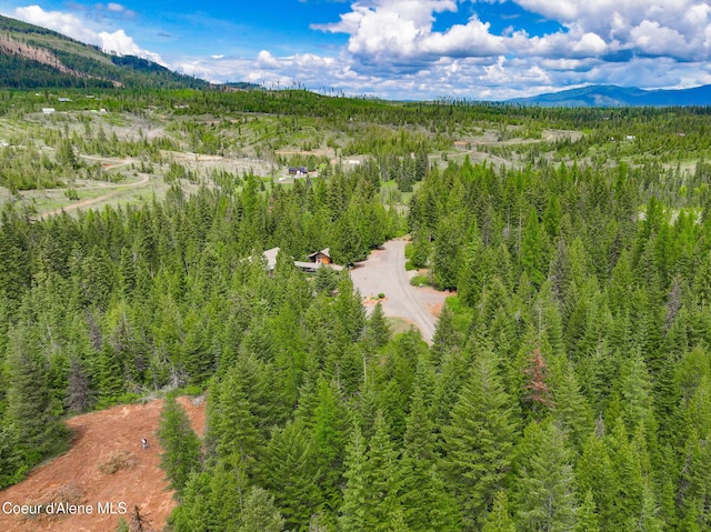 110 Shamrock Ln, Saint Maries, ID 83861 - bird's eye view of a forest and mountains