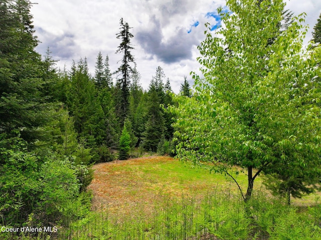 110 Shamrock Ln, Saint Maries, ID 83861 - view of woods