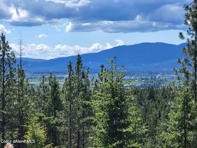 L7B5 N Spiral Ridge Trl, Rathdrum, ID 83858