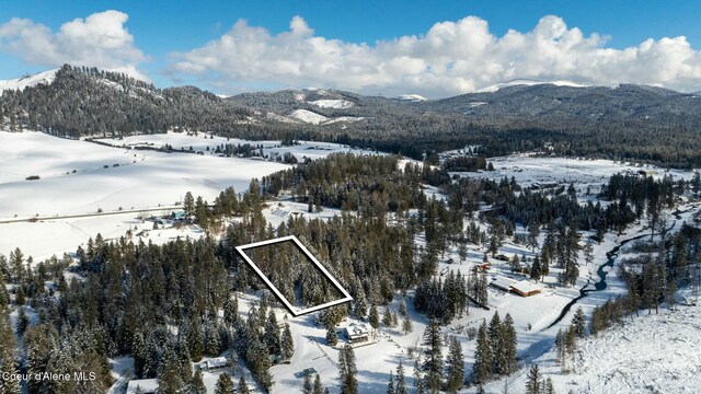 271 Harvey Dr, Fernwood, ID 83830