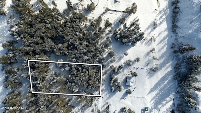 271 Harvey Dr, Fernwood, ID 83830