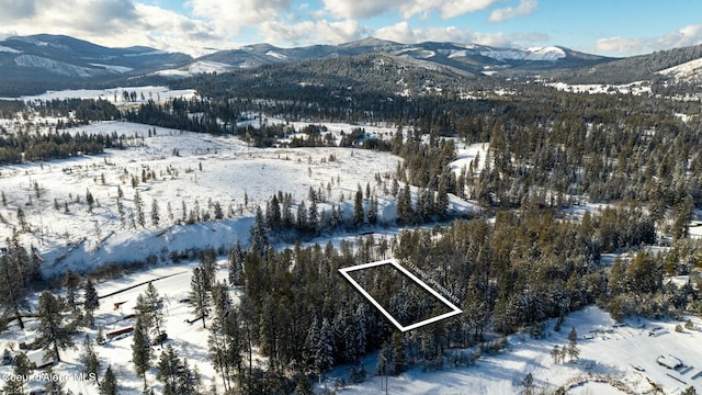 271 Harvey Dr, Fernwood, ID 83830