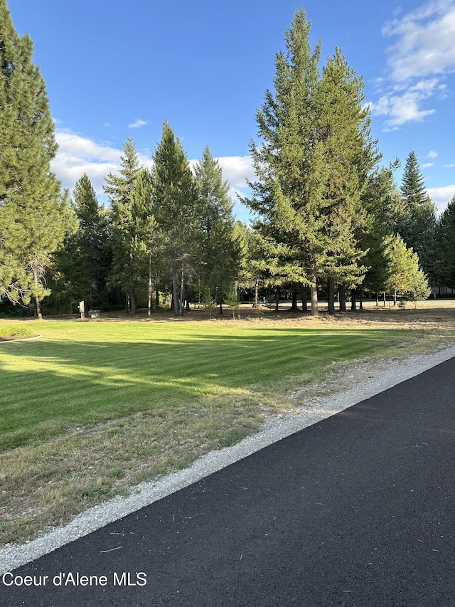 view of community with a yard