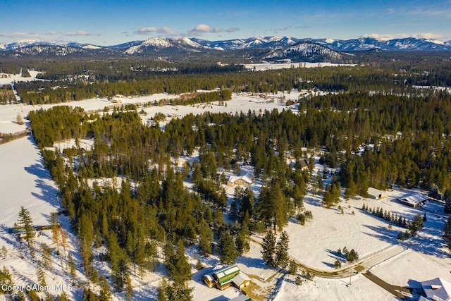 drone / aerial view with a mountain view