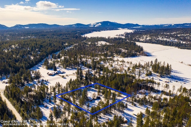 snowy aerial view with a mountain view