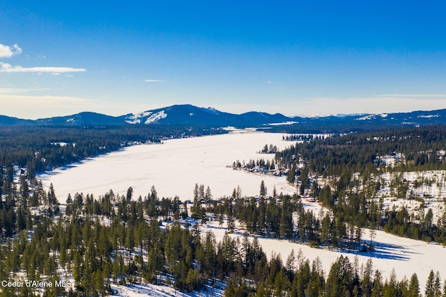 snowy aerial view featuring a mountain view