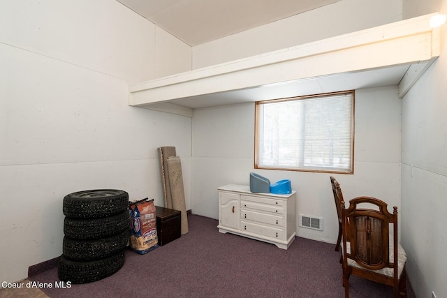 miscellaneous room featuring dark carpet