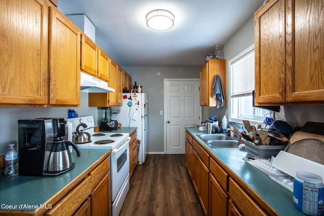 kitchen with sink, dark wood-type flooring, and white electric range oven