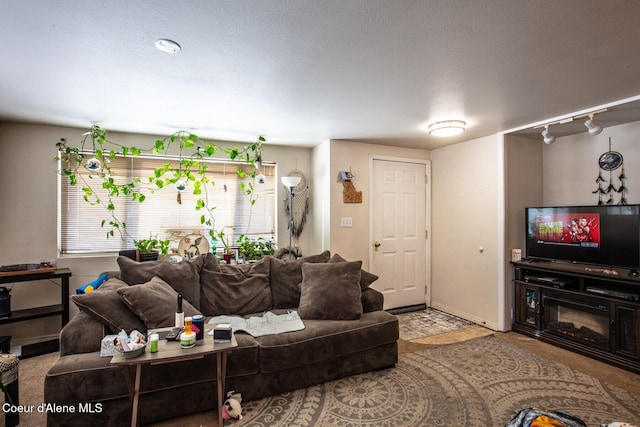 living room featuring rail lighting