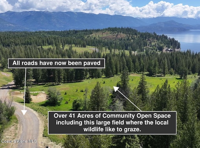LOT8 N Camp Bay, Sagle, ID 83860 - photo 19