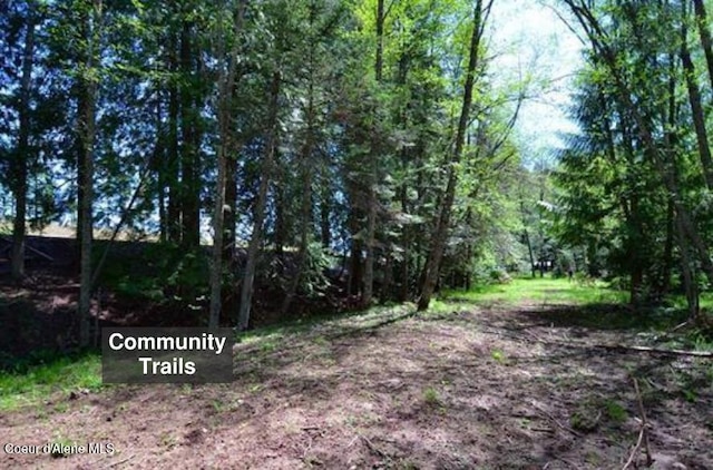 LOT8 N Camp Bay, Sagle, ID 83860 - photo 21