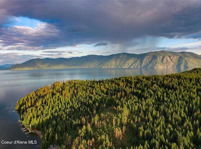 LOT8 N Camp Bay, Sagle, ID 83860 - photo 30