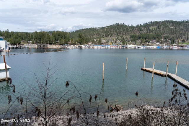 Listing photo 3 for 17297 E Hudson Bay Rd, Bayview ID 83803