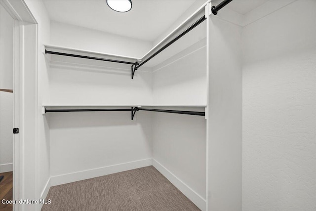 spacious closet featuring carpet flooring