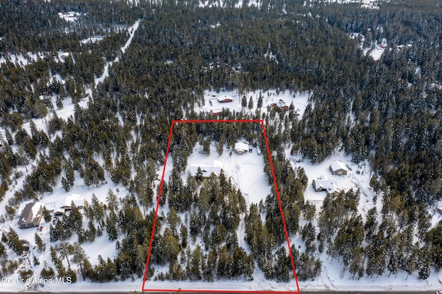 snowy aerial view with a view of trees