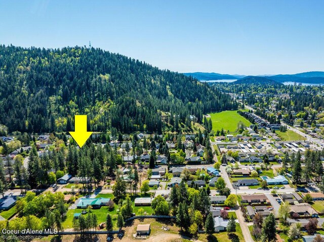 2757 N White Pines Dr, Coeur Dalene, ID 83814 - photo 49